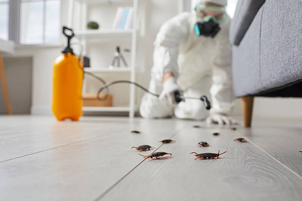 Post-Treatment Bed Bug Interceptor Monitoring in Felton