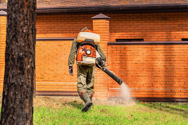 Bed Bug Clearance Verification and Documentation in Felton
